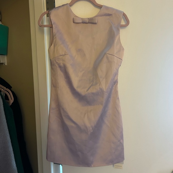 Dresses & Skirts - Elegant soft pink Dress